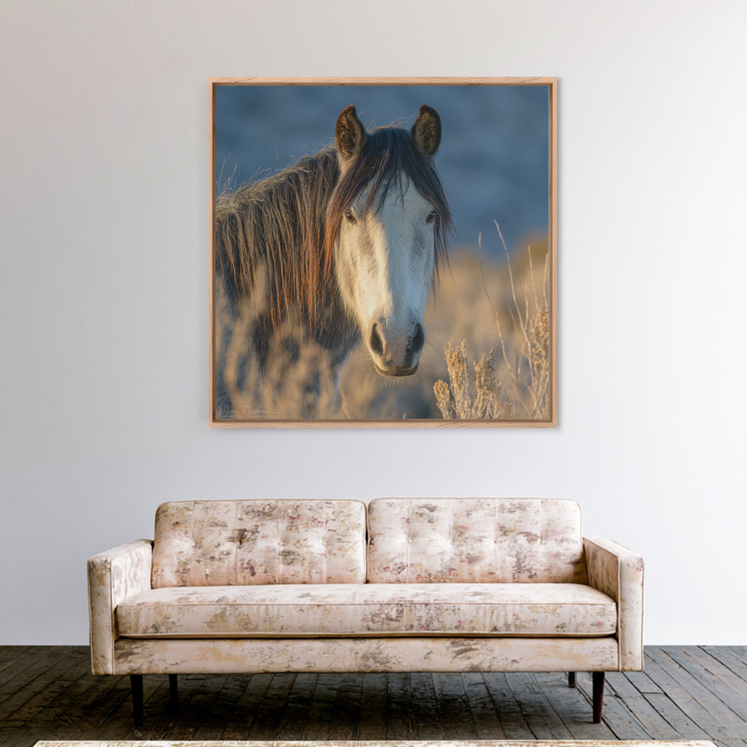 Wild Horse Portrait Framed Canvas Print, Wall Art, Boho Decor, Living Room Decor, Fine Art, Painting, Art Print, WAL-1x1-61