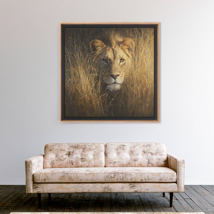 Lion Emerging from Golden Savanna Grass Canvas Print, Wildlife Art, Modern Decor, Living Room Decor, Fine Art, Wild, Home Decor, WIL-1x1-49