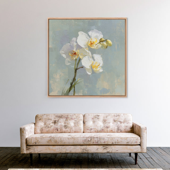White Orchid on Light Gray Ground Canvas Print, Waiting Room Art, Office Wall Decor, Waiting Room Decor, Fine Art, Calm, WRA-1x1-31