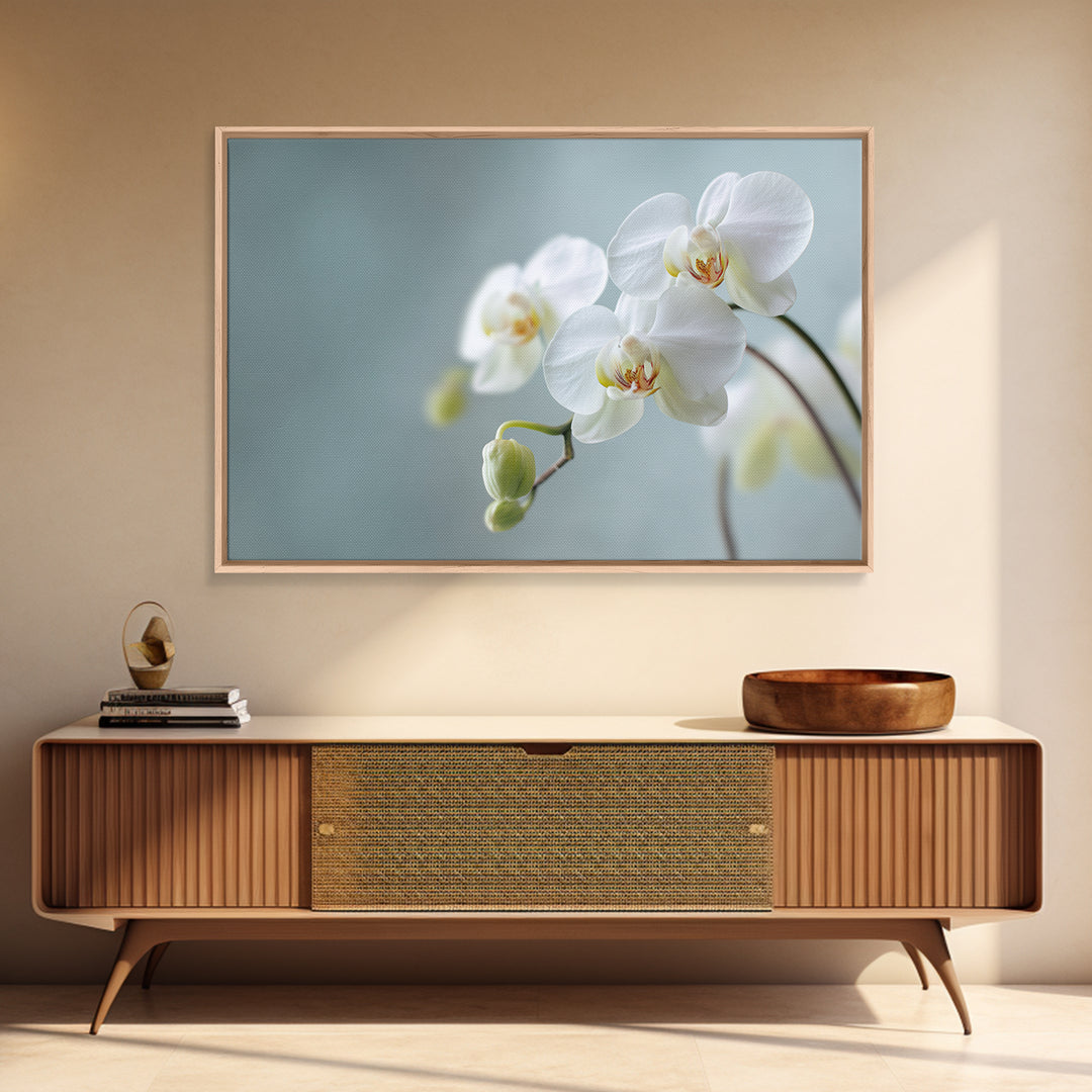White Orchid on Light Gray Ground Canvas Print, Waiting Room Art, Digital Art Print, Waiting Room Decor, Fine Art, Calm, WRA-3x2-11