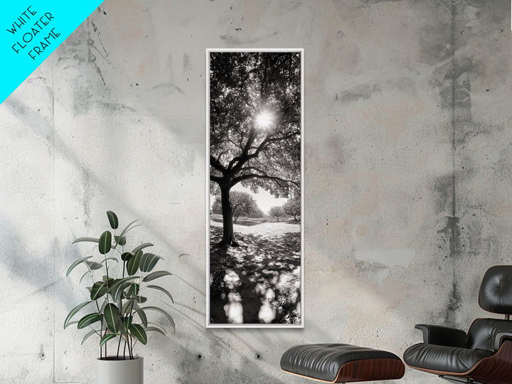 Sunlight Tree, Autumn Glow, Nature Shadowplay, Black White Forest Scene, Canvas Print, Fall Living Room Art, Boho Earthy Wall Decor