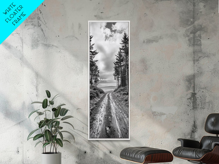 Coastal Forest Path, Nature Trail, Ocean View, Black and White, Framed Canvas Print, Entryway Wall Art, Rustic Decor, Landscape Photography