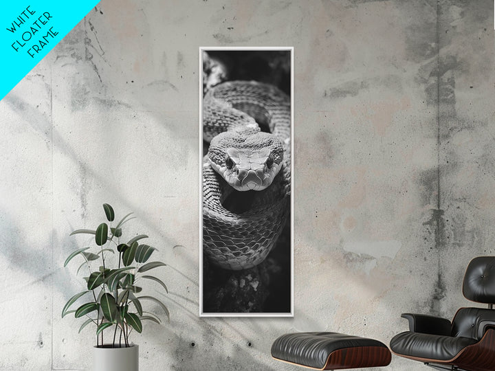 Coiled Snake, Wild Reptile, Black and White Snake, Fierce Eyes, Framed Canvas Print, Nature Lover Wall Art, Masculine Office Decor