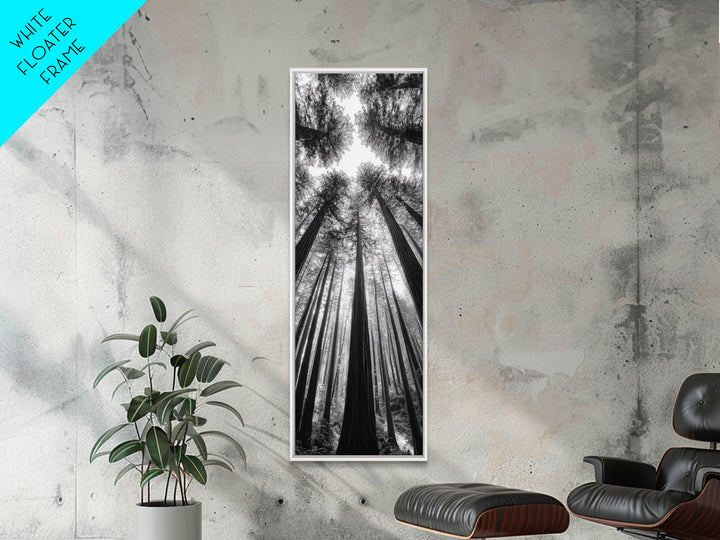 Redwood Forest, Sunlight Trees, Nature Canopy, Canvas Print, Serene Woodland Art, Cabin Wall Decor, Black and White Forest Art, Bedroom Wall Art