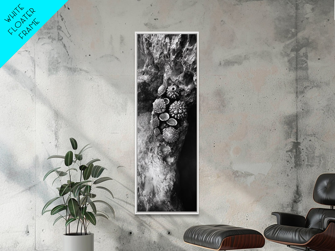 Tide Pool Life, Sea Creatures, Textured Nature, Ocean Details, Shell Art, Framed Canvas Print, Bathroom Wall Art, Coastal Boho Vibes