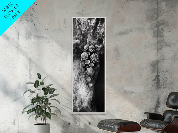 Tide Pool Life, Sea Creatures, Textured Nature, Ocean Details, Shell Art, Framed Canvas Print, Bathroom Wall Art, Coastal Boho Vibes