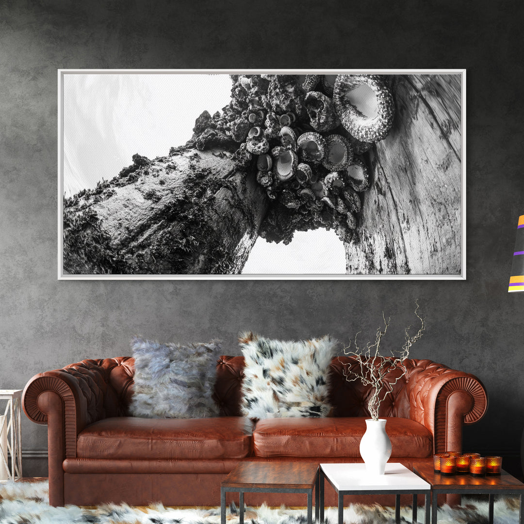 Coastal Texture, Tidepool Abstract, Modern Ocean Nature, Framed Canvas Print, Bathroom Wall Art, Marine Minimalist Photography