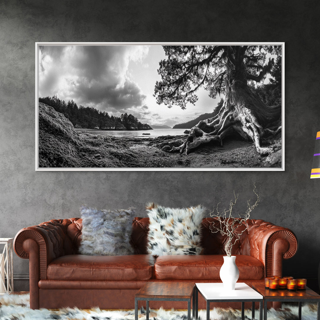 Coastal Tree Roots, Ancient Forest Shore, Pacific Northwest Nature, Moody Black and White Canvas Print, Cabin Wall Art, Woodland Style