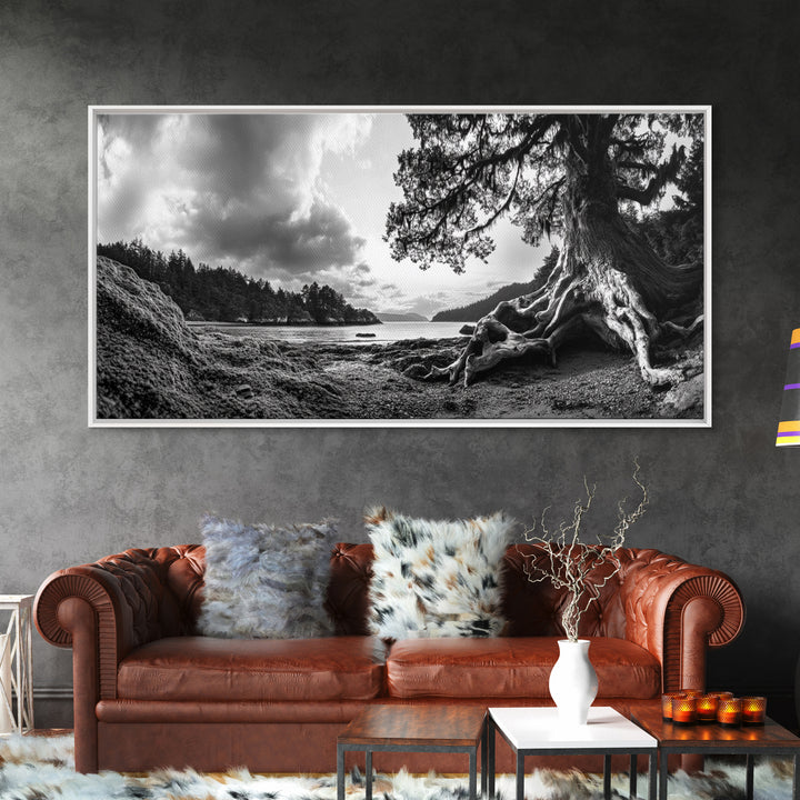 Coastal Tree Roots, Ancient Forest Shore, Pacific Northwest Nature, Moody Black and White Canvas Print, Cabin Wall Art, Woodland Style
