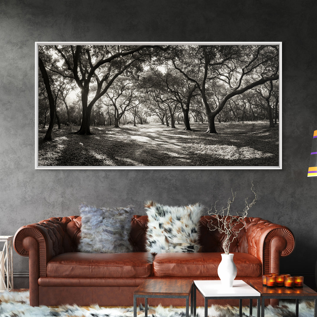 Oak Tree Path, Autumn Forest Glow, Nature Trail Photography, Framed Canvas Print, Hallway Wall Art, Earthy Decor, Woodland Art