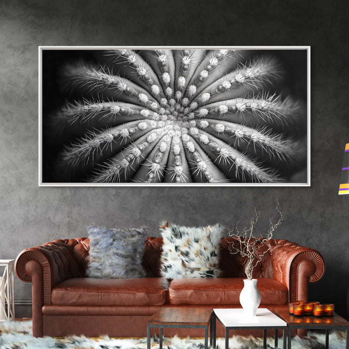Cactus Spiral, Desert Bloom, Nature Closeup, Modern Decor, Framed Canvas Print, Minimalist Botanical Art, Office Wall Art, Succulent Texture