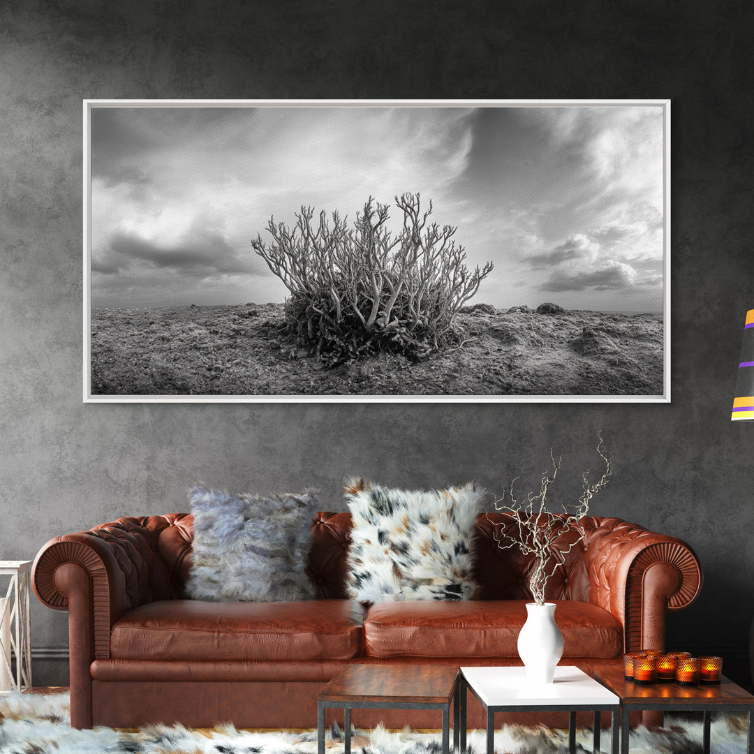 Desert Coral Plant, Dry Earth Botanical, Surreal Nature Texture, Minimal Wild Scene, Canvas Print, Office Wall Art, Earthy Decor