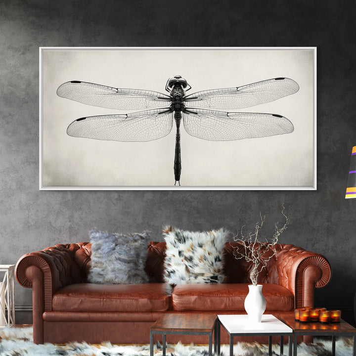 Dragonfly Sketch, Insect Art Print, Botanical Illustration, Minimalist Natural History, Framed Canvas Print, Office or Study Wall Art