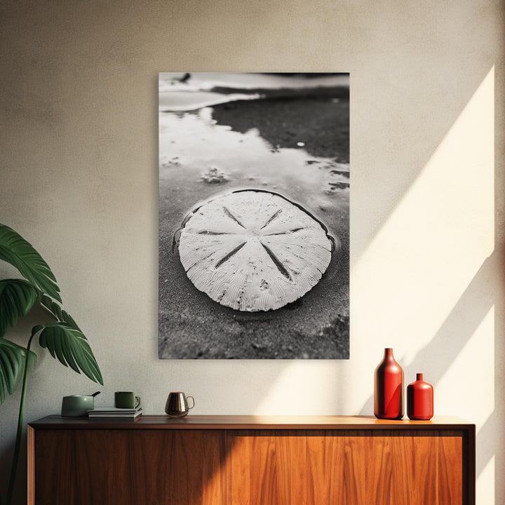 Sand Dollar, Coastal Shore, Ocean Shell Print, Canvas Print, Beachcomber Wall Art, Seaside Bathroom Decor, Nautical Nature Photography