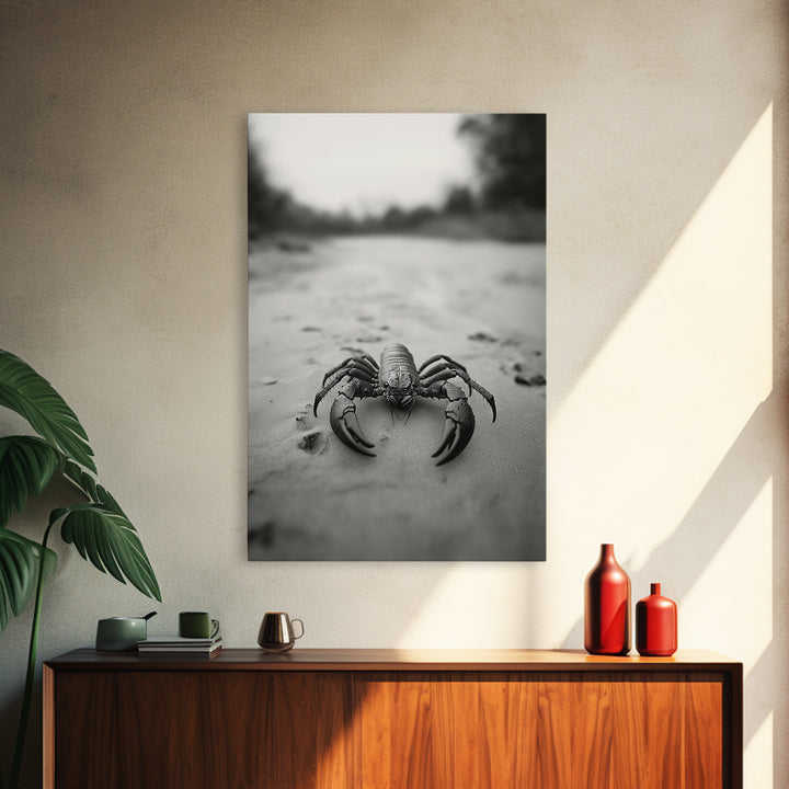 Desert Scorpion, Moody Wildlife, Sandy Ground, Focused Predator, Framed Canvas Print, edgy boho decor, masculine wall art, nature closeup