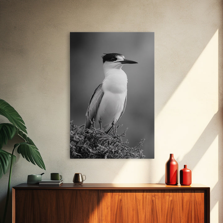 Coastal Bird Portrait, Black White Art, Nature Print, Minimalist Style, Living Room Wall Decor, Framed Canvas Print, Beach House Art