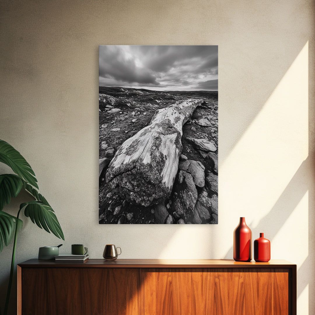 Rocky Terrain Driftwood, Weathered Wood Scene, Outdoor Adventure Art, Modern Rustic Decor, Framed Canvas Print, Earthy Tones Photography
