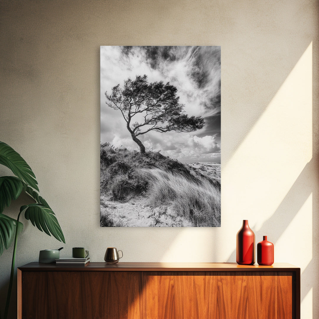 Windswept Tree, Coastal Landscape, Stormy Sky, Framed Canvas Print, Modern Rustic Wall Art, Nature Photography, Bedroom Wall Accent