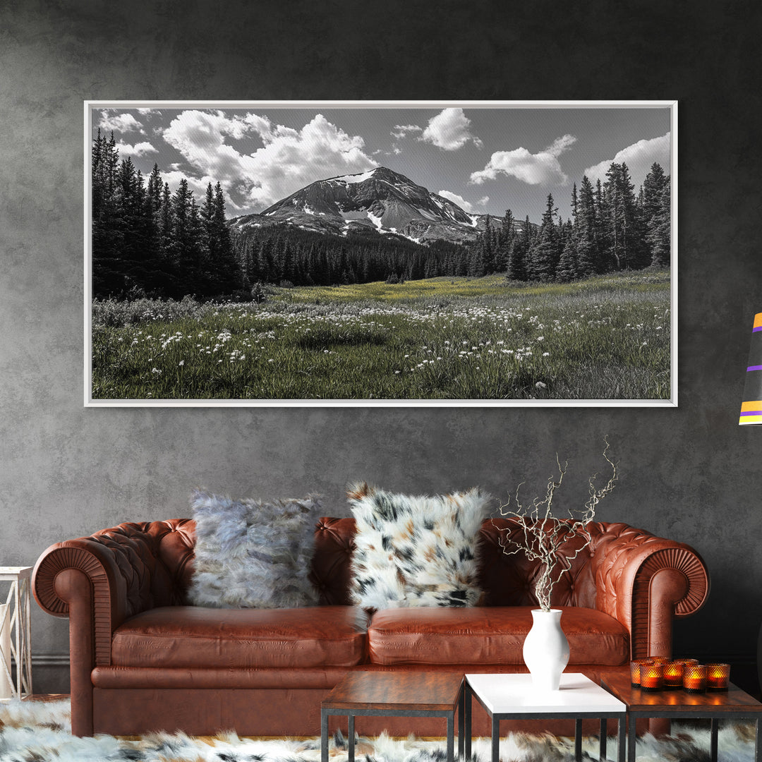 Mountain, Meadow, Wildflowers, Alpine meadow bloom and majestic peak on this Framed Canvas Print, serene Nature Wall Art for Entryway