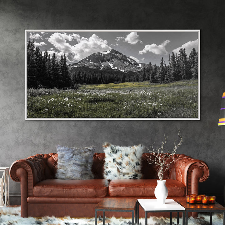 Mountain, Meadow, Wildflowers, Alpine meadow bloom and majestic peak on this Framed Canvas Print, serene Nature Wall Art for Entryway