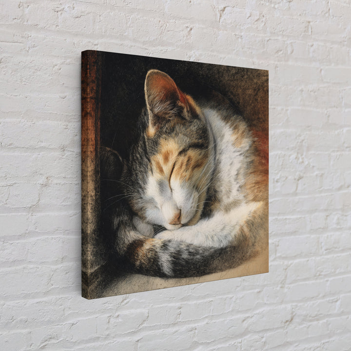 Sleeping Cat Curled Canvas Print, Animal Art, Nursery, Living Room Decor, Fine Art, Creature, Modern Decor, Fine Art Print, ANI-1x1-60