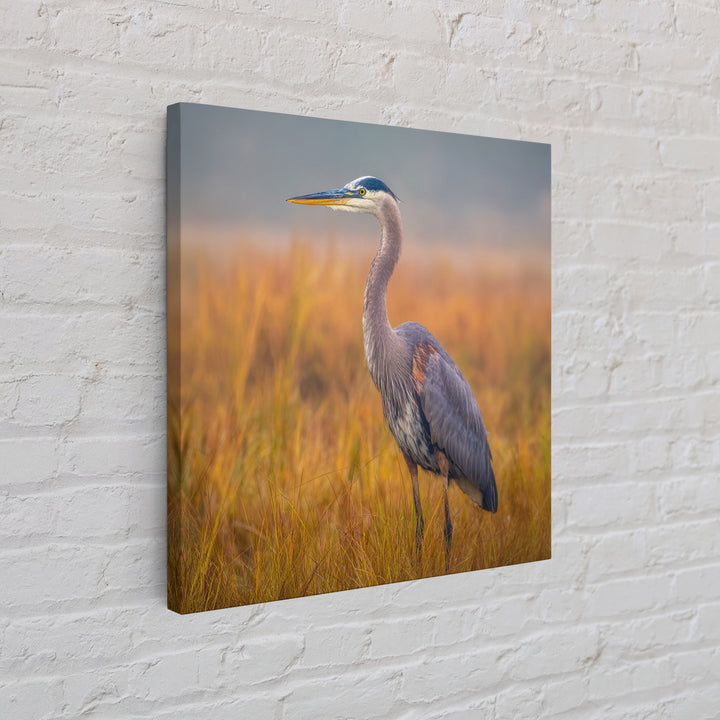 Blue Heron Standing Framed Canvas Print, Animal Art, Statement Artwork, Living Room Decor, Fine Art, Creature, Wall Decor, ANI-1x1-83