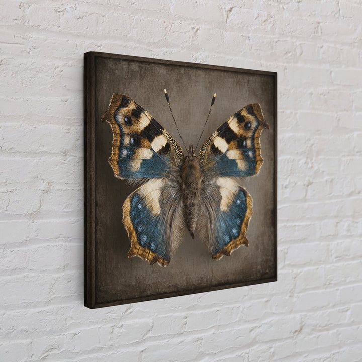 Butterfly Specimen Composition Canvas Print, Animal Art, Neutral Decor, Living Room Decor, Fine Art, Creature, Wall Art, ANI-1x1-95