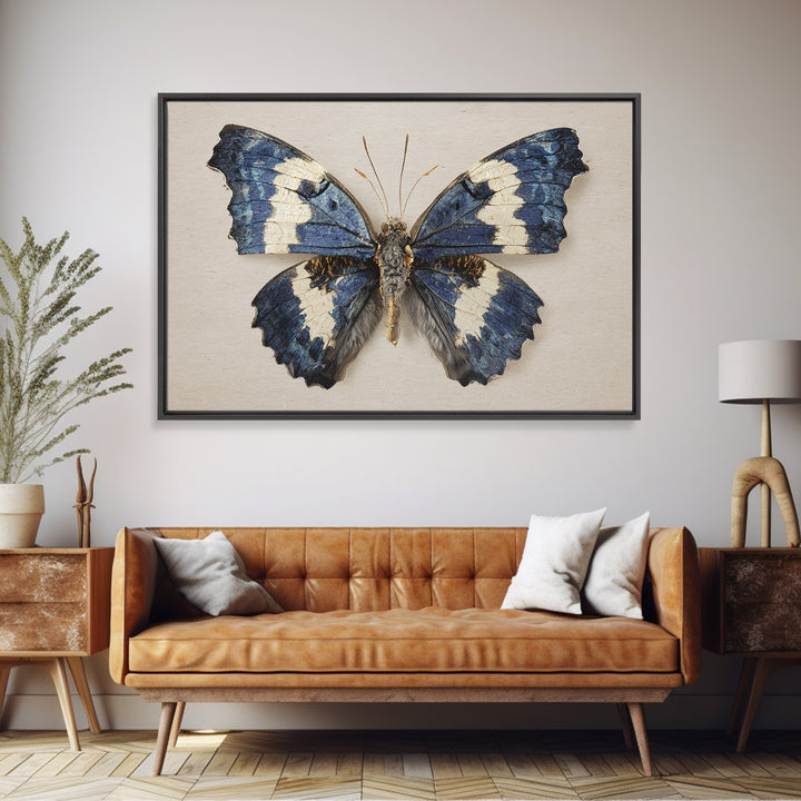 Butterfly Specimen Composition Framed Canvas Print, Animal Art, Farmhouse Decor, Living Room Decor, Fine Art, Creature, ANI-3x2-27