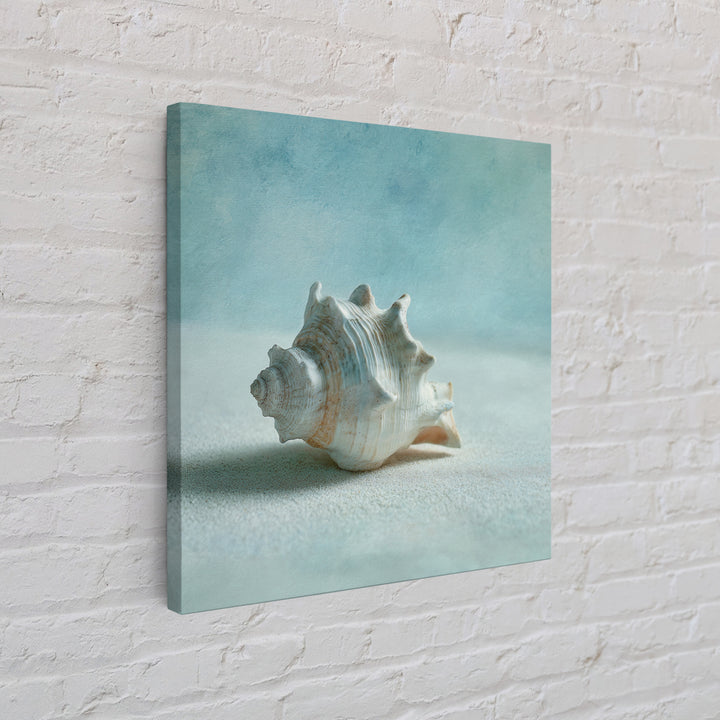 Minimal Seashell Still Life on Pale Sand Canvas Print, Bathroom Art, Custom Pet Portrait, Bathroom Decor, Abstract Art, Spa, BAT-1x1-3