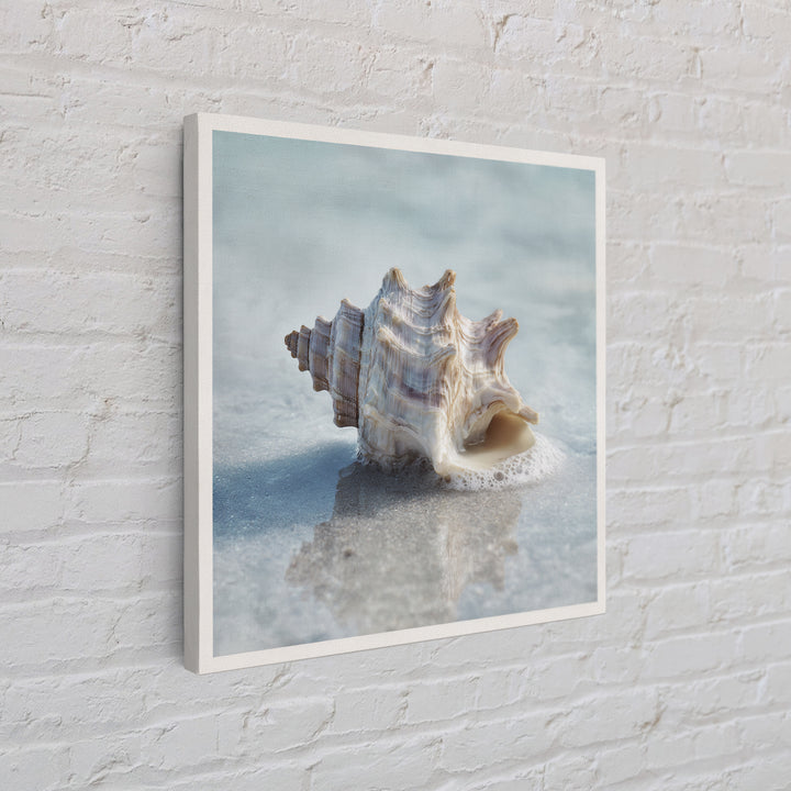 Minimal Seashell Still Life on Pale Sand Framed Canvas Print, Bathroom Art, Minimalist Wall Art, Bathroom Decor, Oil Painting, BAT-1x1-51