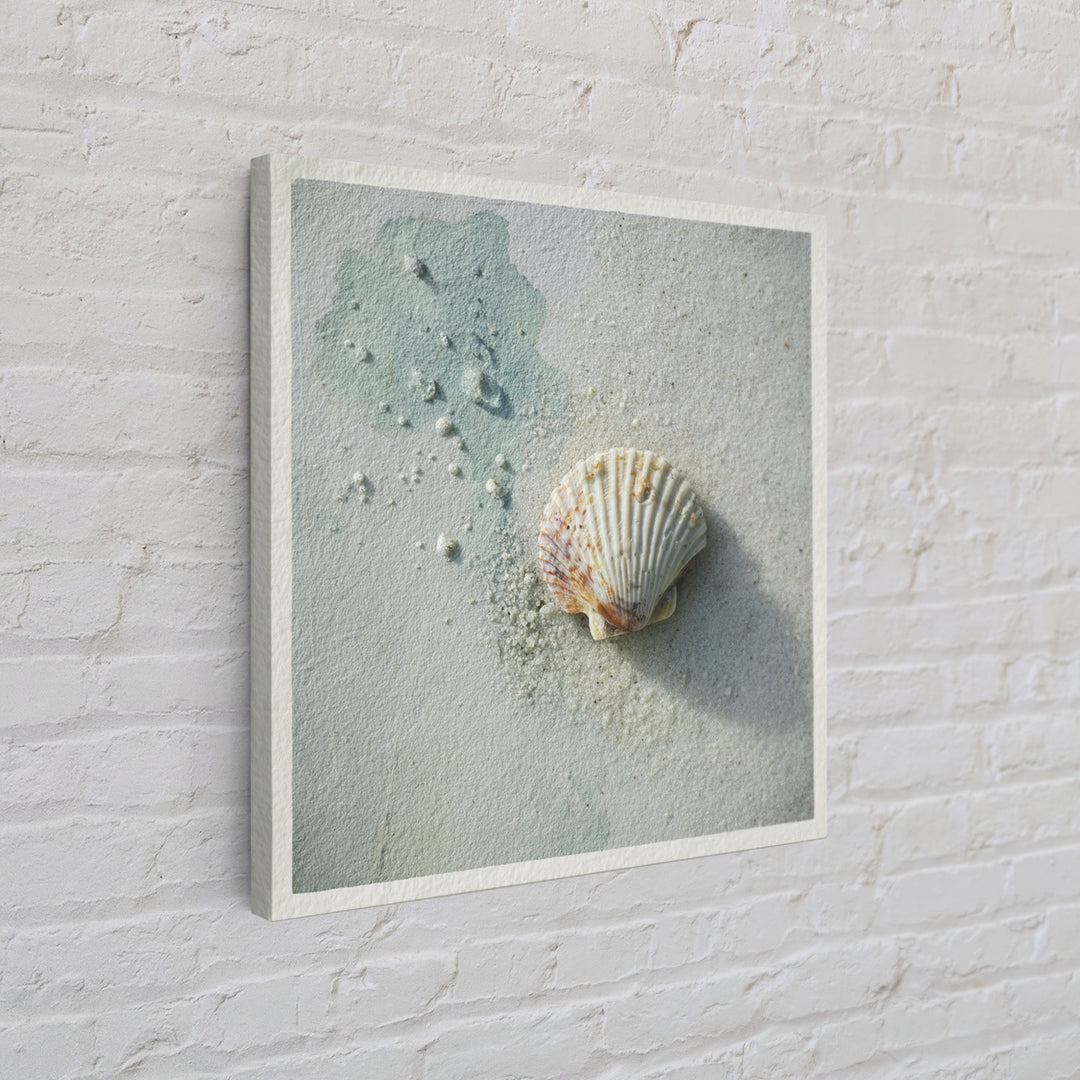 Minimal Seashell Still Life on Pale Sand Canvas Print, Bathroom Art, Gallery Decor, Bathroom Decor, Spa, Minimalist Decor, BAT-1x1-75