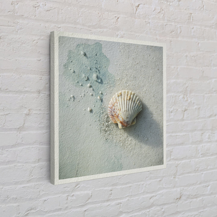 Minimal Seashell Still Life on Pale Sand Canvas Print, Bathroom Art, Gallery Decor, Bathroom Decor, Spa, Minimalist Decor, BAT-1x1-75
