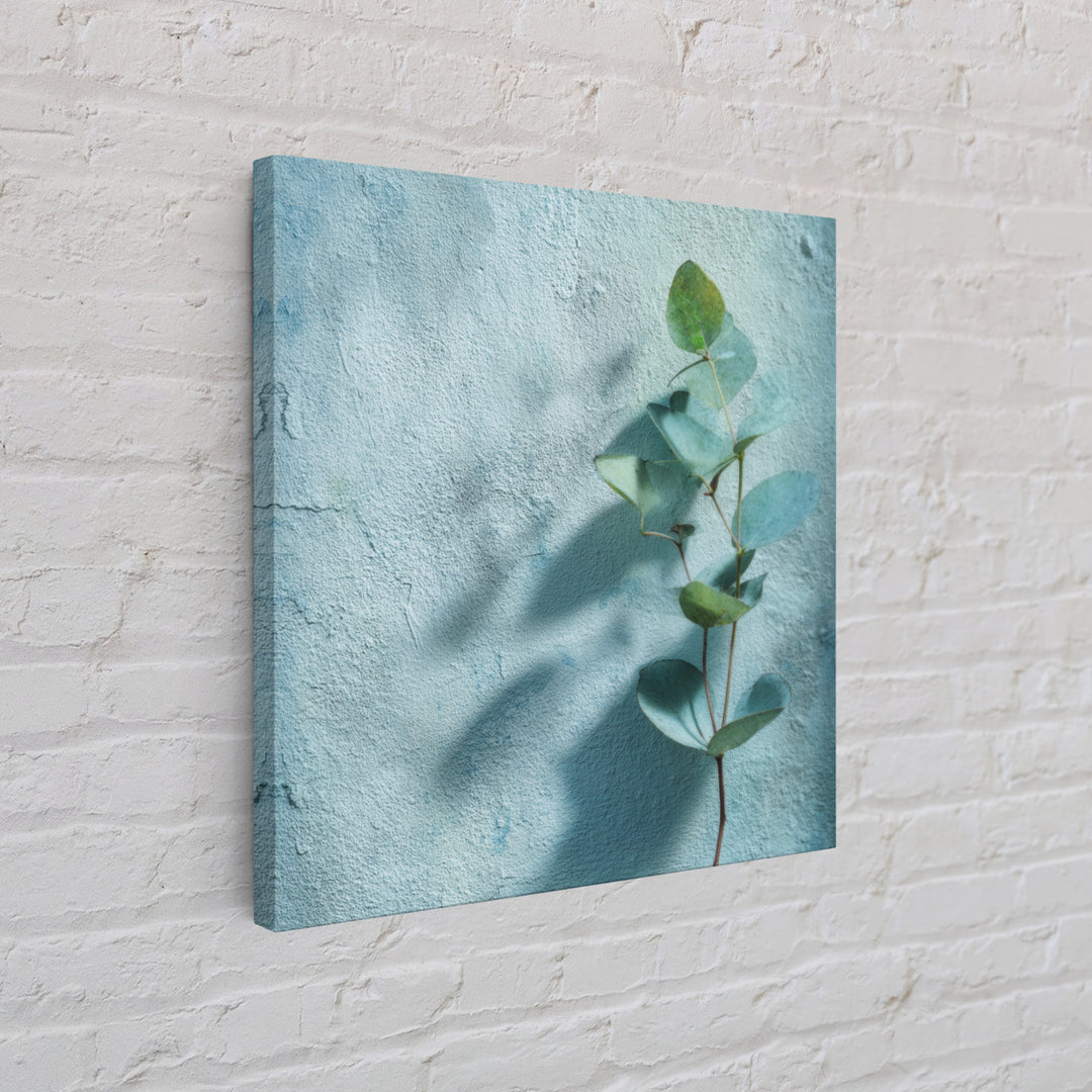 Sunlit Window Plant Shadow on Plaster Canvas Print, Bathroom Art, Bathroom Art Decor, Bathroom Decor, Fine Art, Spa, Boho Decor, BAT-1x1-90