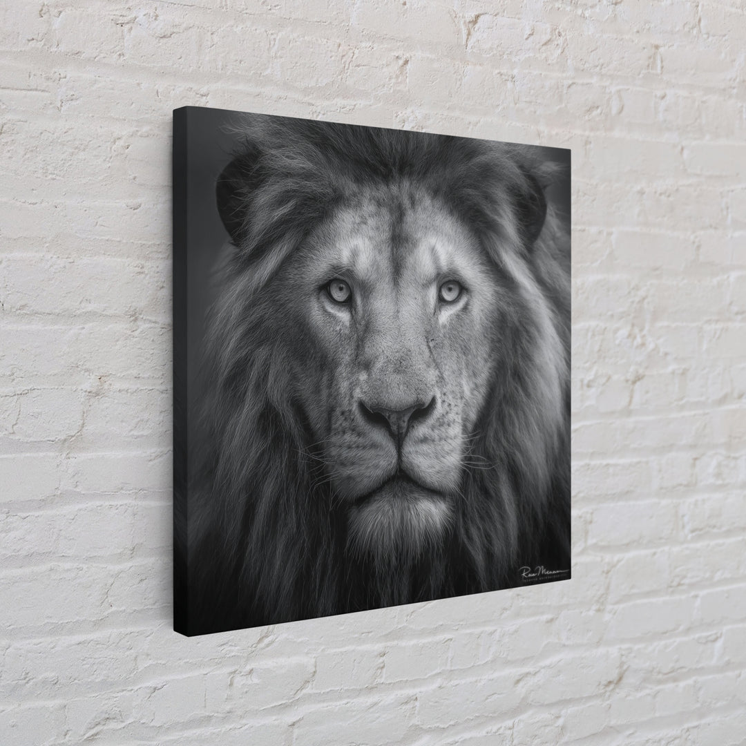 Dramatic Black and White Lion Portrait Canvas Print, Black and White Art, Gallery Decor, Living Room Decor, Monochrome, BAW-1x1-17
