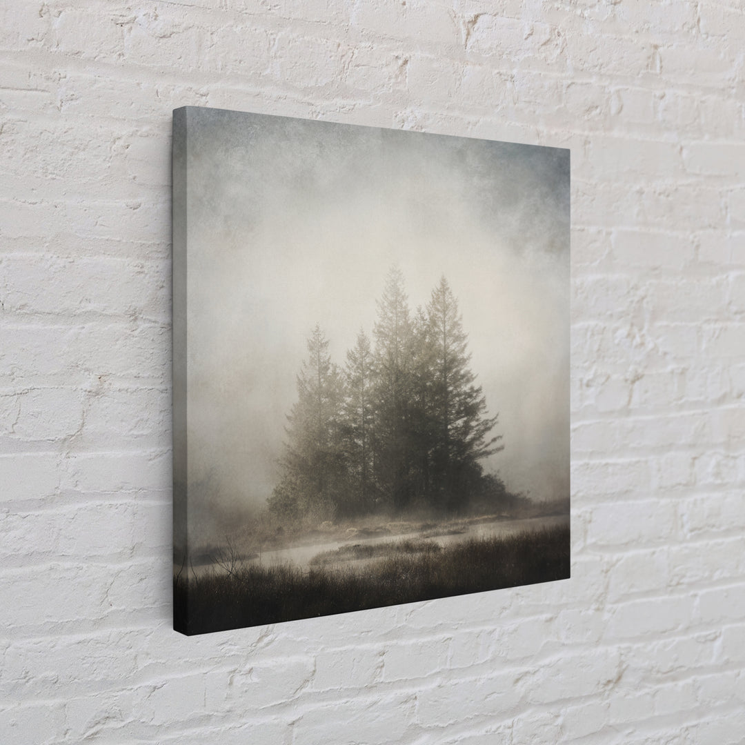 Moody Foggy Forest Canvas Print, Black and White Art, Printable Art, Living Room Decor, Fine Art, Monochrome, Gallery Decor, BAW-1x1-31