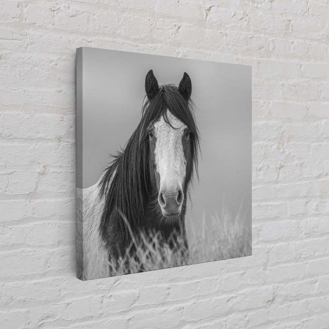 Black and White Wild Horse Portrait Canvas Print, Black and White Art, Fine Art Print, Living Room Decor, Oil Painting, BAW-1x1-5