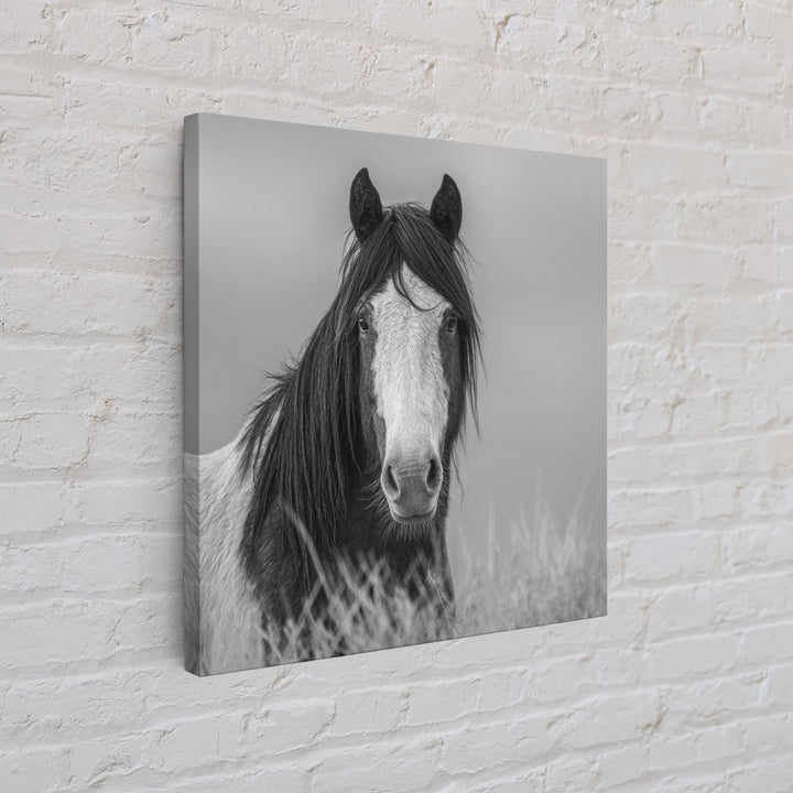 Black and White Wild Horse Portrait Canvas Print, Black and White Art, Fine Art Print, Living Room Decor, Oil Painting, BAW-1x1-5