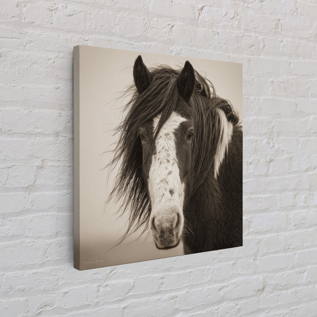 Black and White Wild Horse Portrait Framed Canvas Print, Black and White Art, Textured Painting, Living Room Decor, Monochrome, BAW-1x1-53