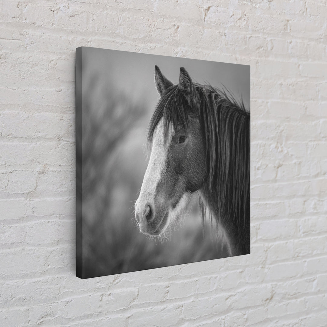 Black and White Wild Horse Portrait Canvas Print, Black and White Art, Art, Living Room Decor, Monochrome, Original Art, BAW-1x1-77