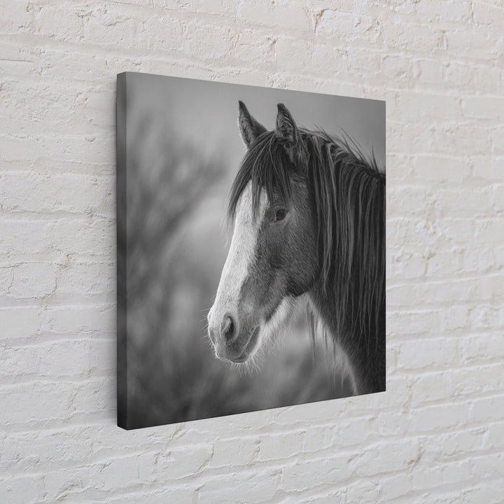 Black and White Wild Horse Portrait Canvas Print, Black and White Art, Art, Living Room Decor, Monochrome, Original Art, BAW-1x1-77