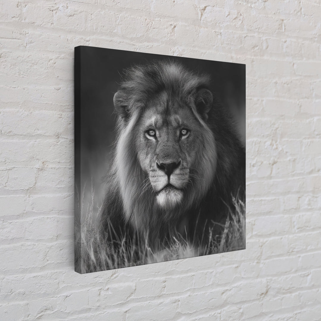 Dramatic Black and White Lion Portrait Canvas Print, Black and White Art, Contemporary Art, Living Room Decor, Monochrome, BAW-1x1-89