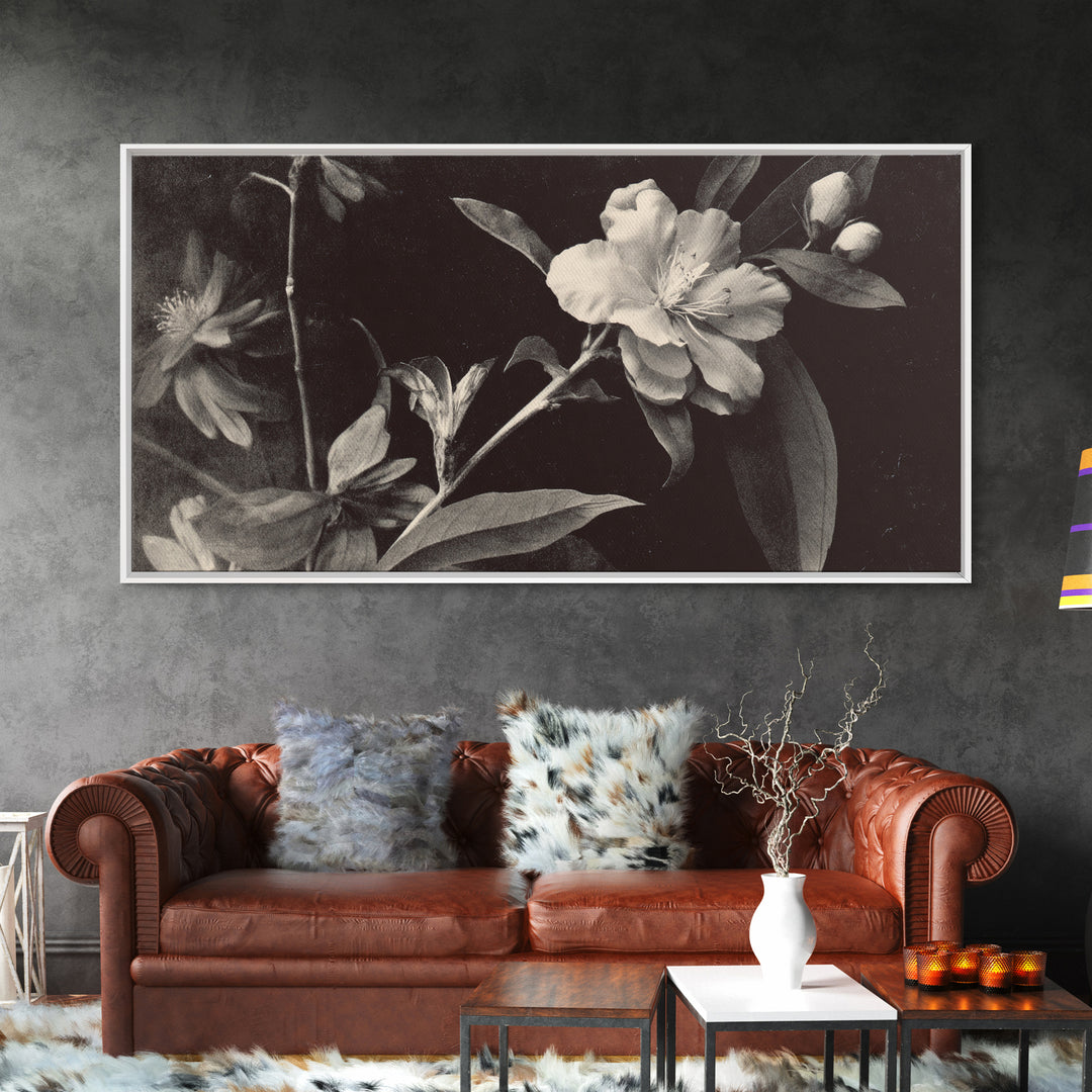 Black and White Botanical Specimen Plate Canvas Print, Black and White Art, Cabin Decor, Living Room Decor, Monochrome, BAW-2x1-19