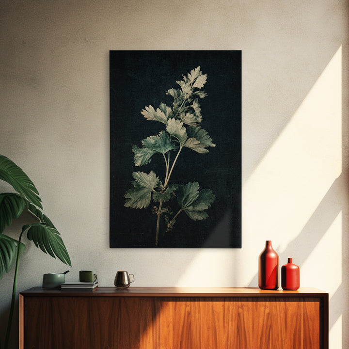 Black and White Botanical Specimen Plate Canvas Print, Black and White Art, Fine Art Print, Living Room Decor, Monochrome, BAW-2x3-7