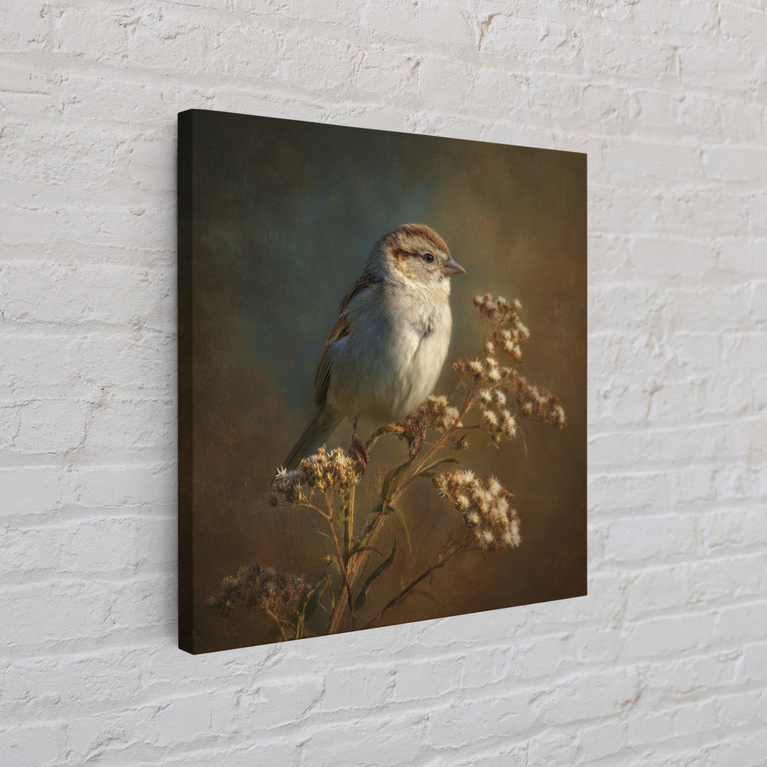 Small Sparrow on Wildflower Stem Canvas Print, Bird Art, Mid Century Wall Art, Living Room Decor, Flight, Fine Art Print, BIR-1x1-14