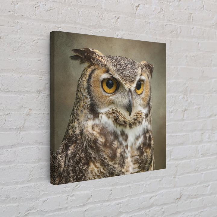 Owl Portrait with Wise Golden Eyes Framed Canvas Print, Bird Art, Fine Art Print, Living Room Decor, Fine Art, Flight, BIR-1x1-53