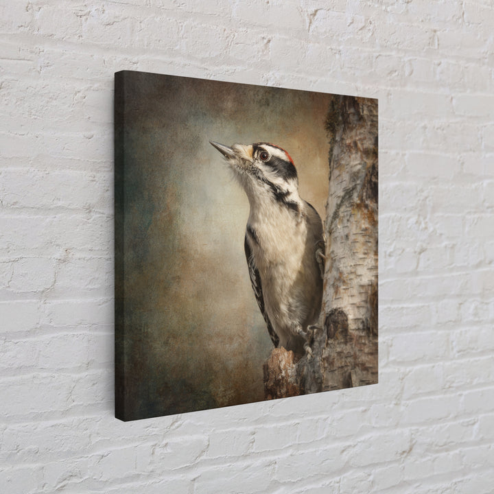 Woodpecker on Birch Bark Texture Framed Canvas Print, Bird Art, Luxury Decor, Living Room Decor, Oil Painting, Flight, BIR-1x1-93