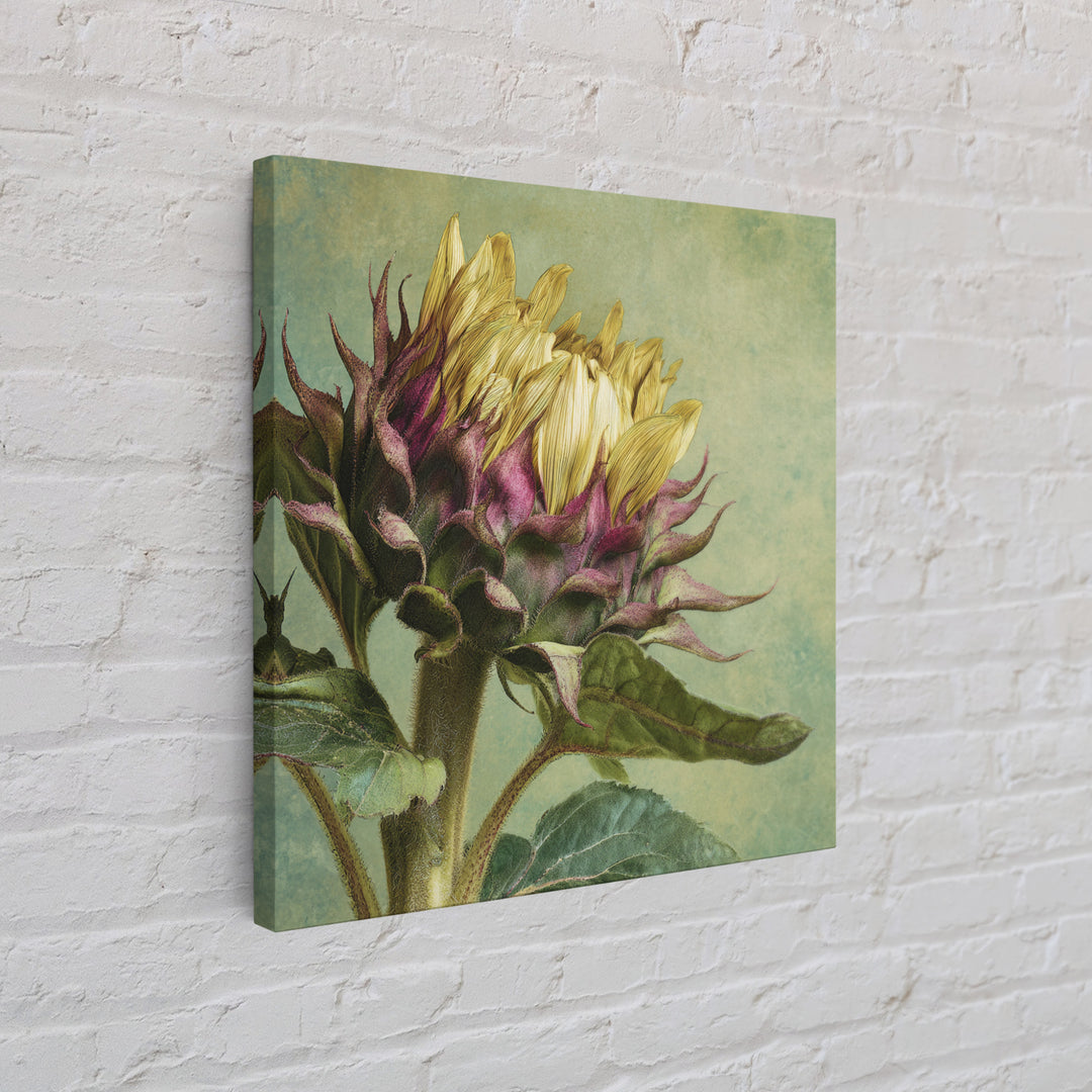 Sunflower Head Closeup Framed Canvas Print, Botanical Art, Framed Wall Art, Living Room Decor, Botanic, Boho Wall Decor, BOT-1x1-16