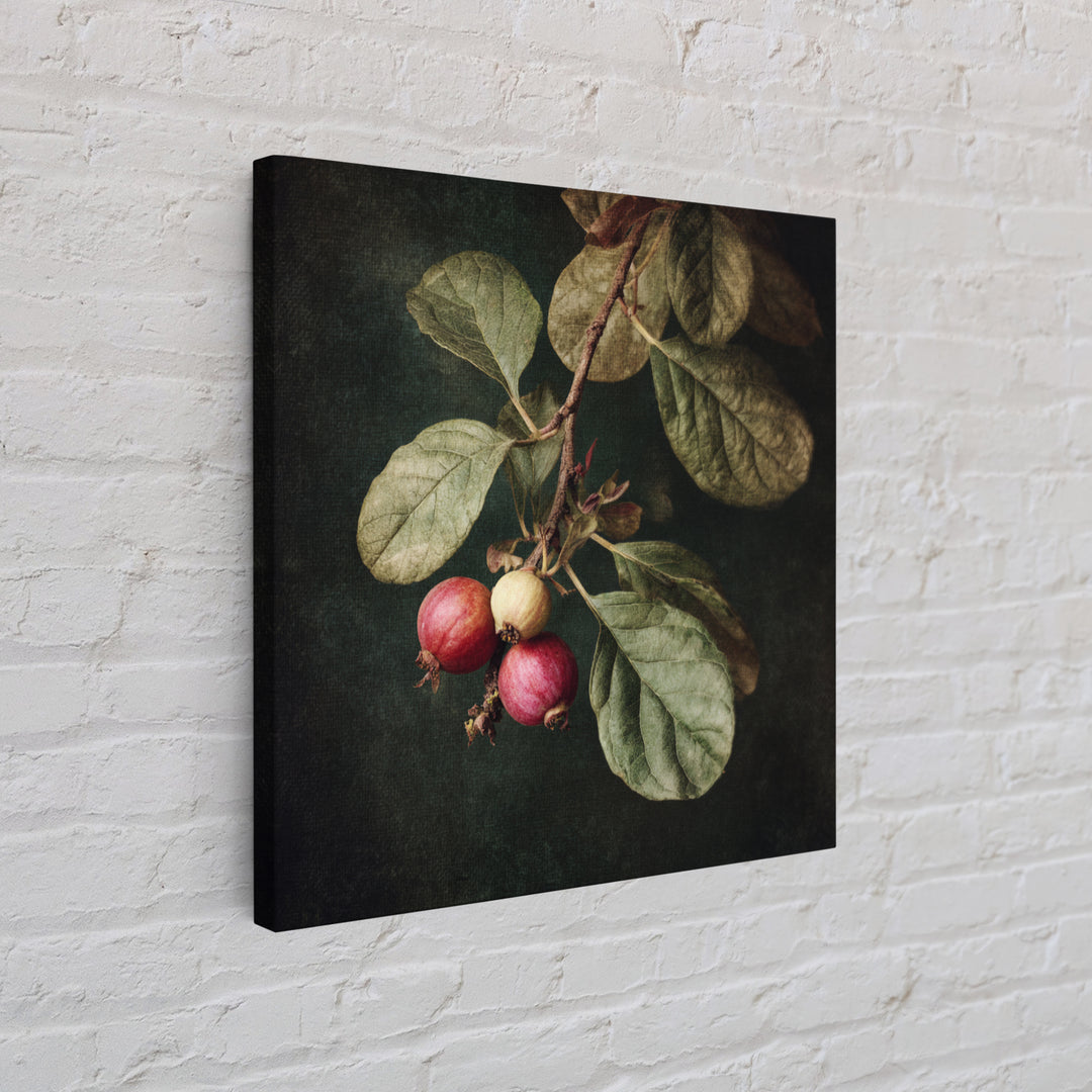 Fig Branch with Fruit and Broad Leaves Framed Canvas Print, Botanical Art, Neutral Decor, Living Room Decor, Oil Painting, BOT-1x1-63