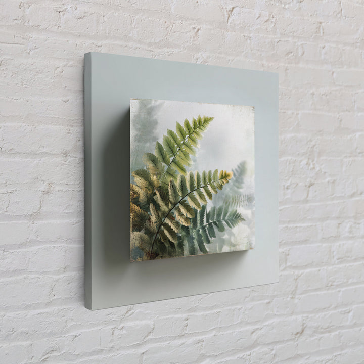 Botanical Fern Study Canvas Print, Dental Office Art, Dental, Office Decor, Fine Art, Calm, Tooth Art, Dentistry Art, DOA-1x1-19