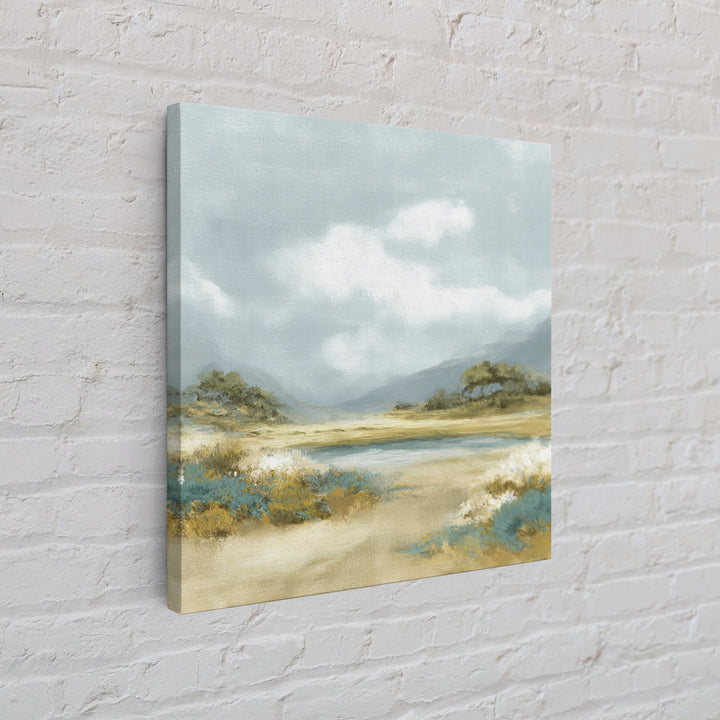 Peaceful Clouds over Open Meadow Framed Canvas Print, Dental Office Art, Dentistry Art, Office Decor, Fine Art, Calm, DOA-1x1-57